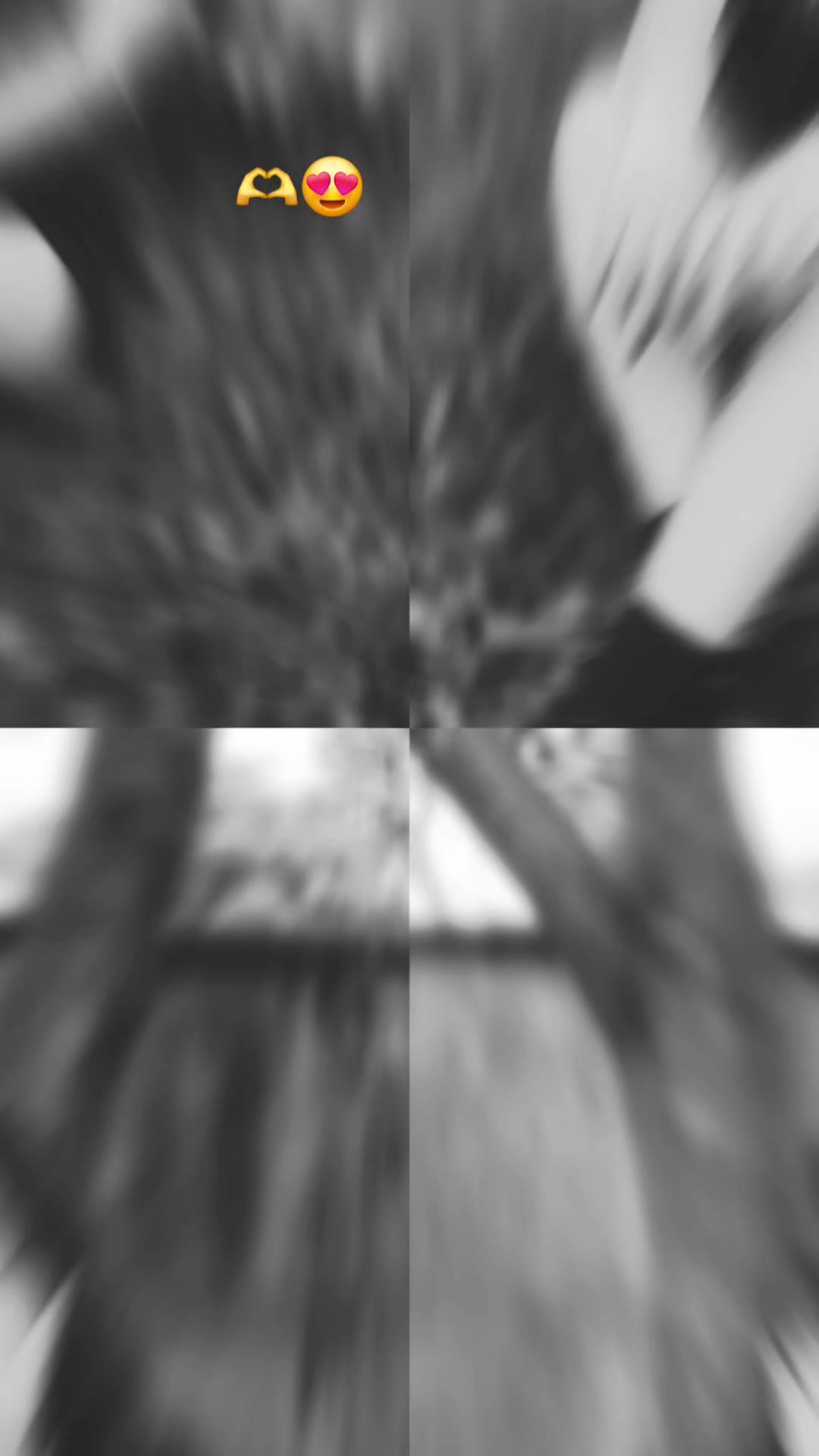 @🐇*CELESTE*🐇