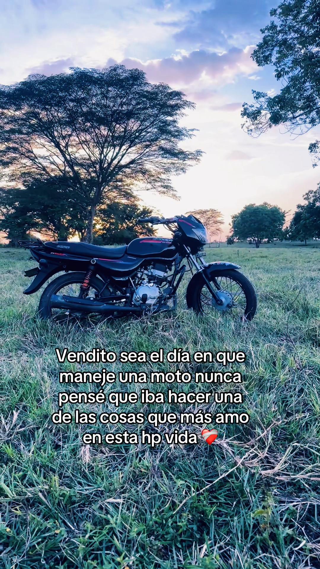@Jose🦦