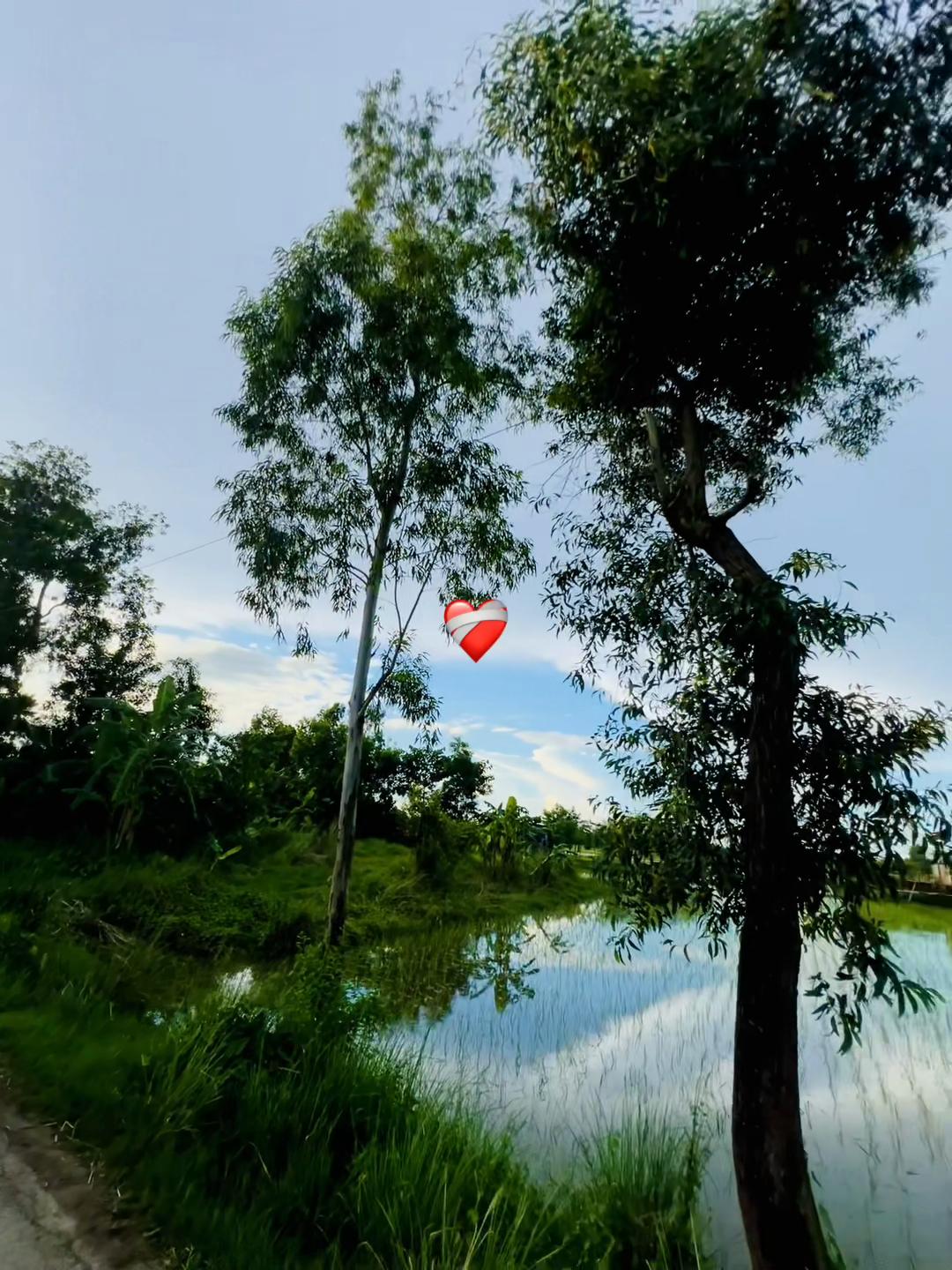 @পরিবারের ছোট ছেলে..🙂🥀