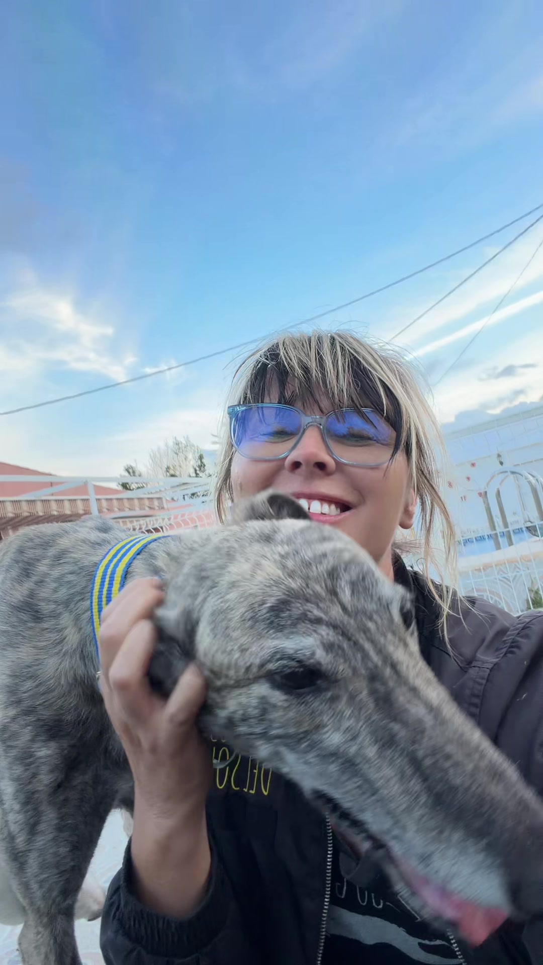 @Galgos del Sol