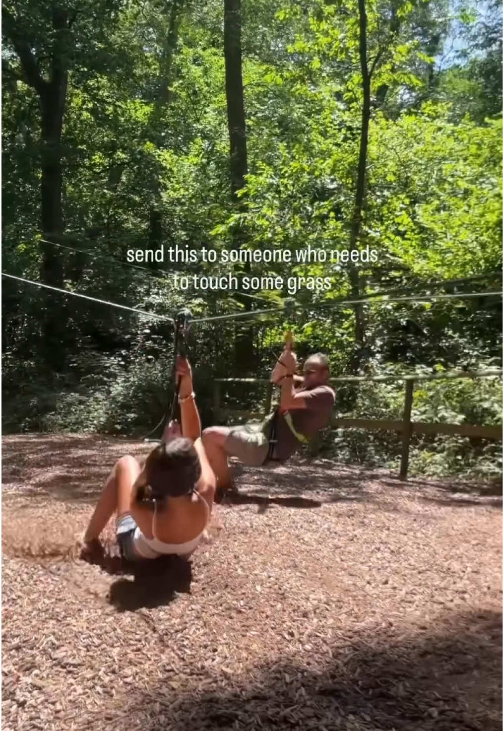 @Go Ape