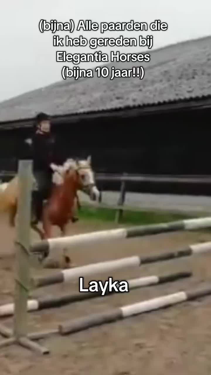 @Elegantia Horses