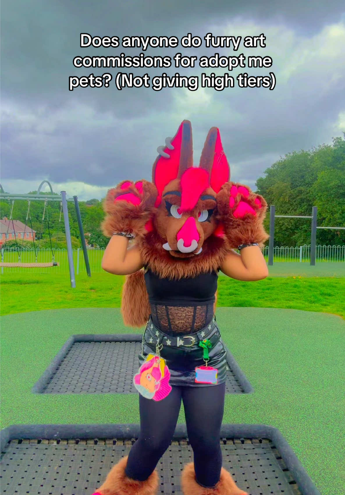 @★彡 ~ paws! ~ ★彡