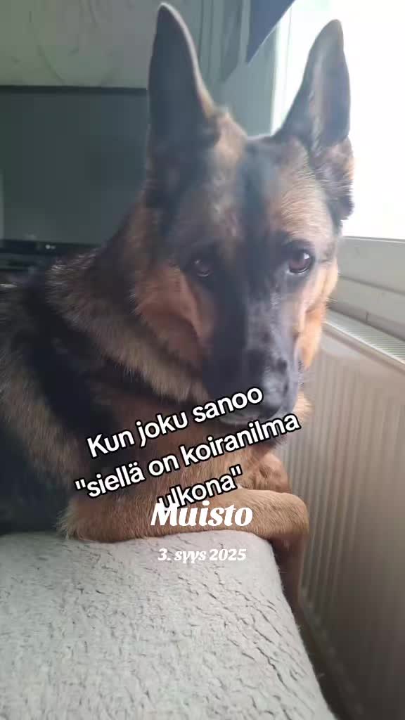 @Haksu