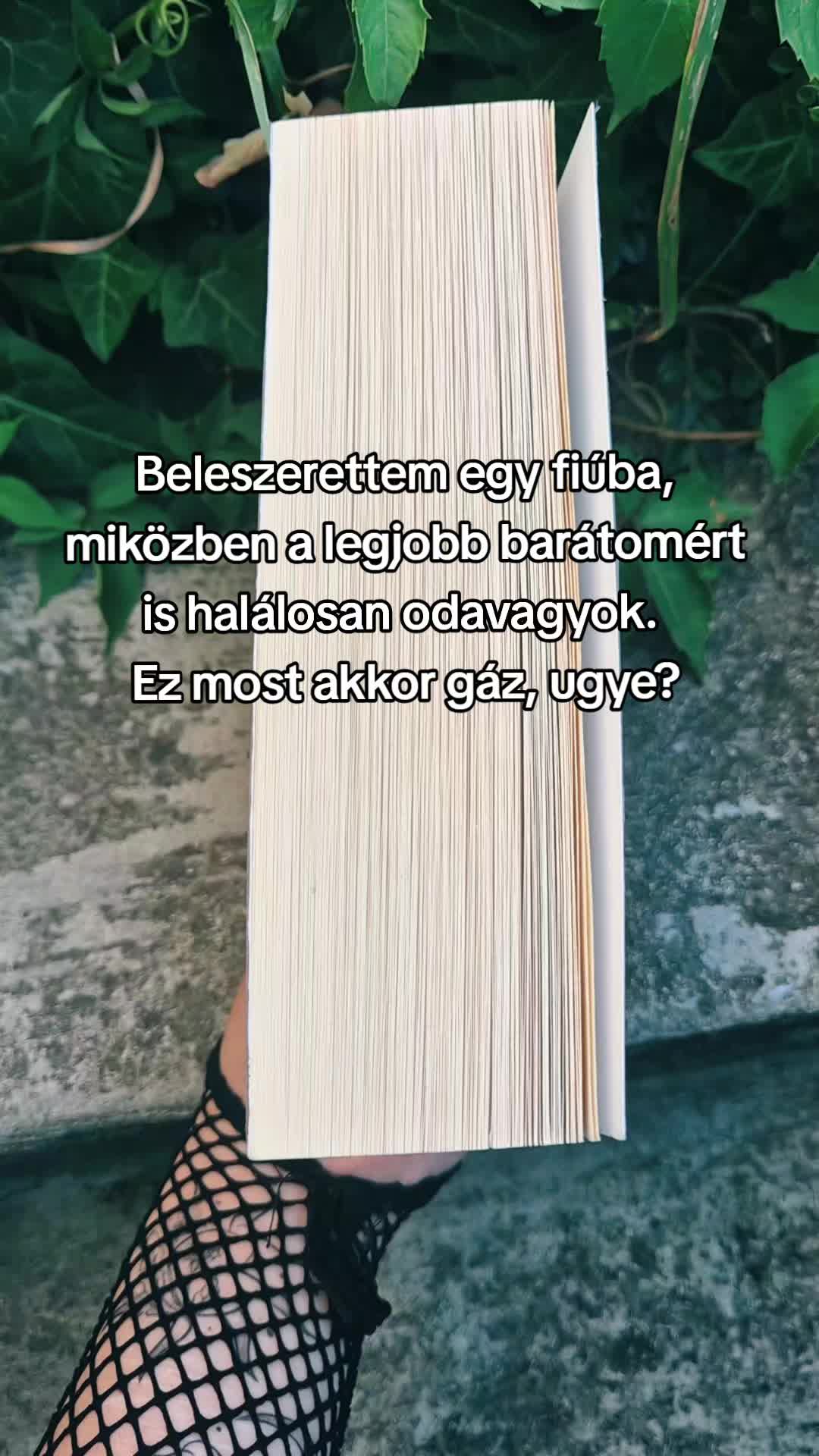 @Mezőföldi Pitypang író✍️