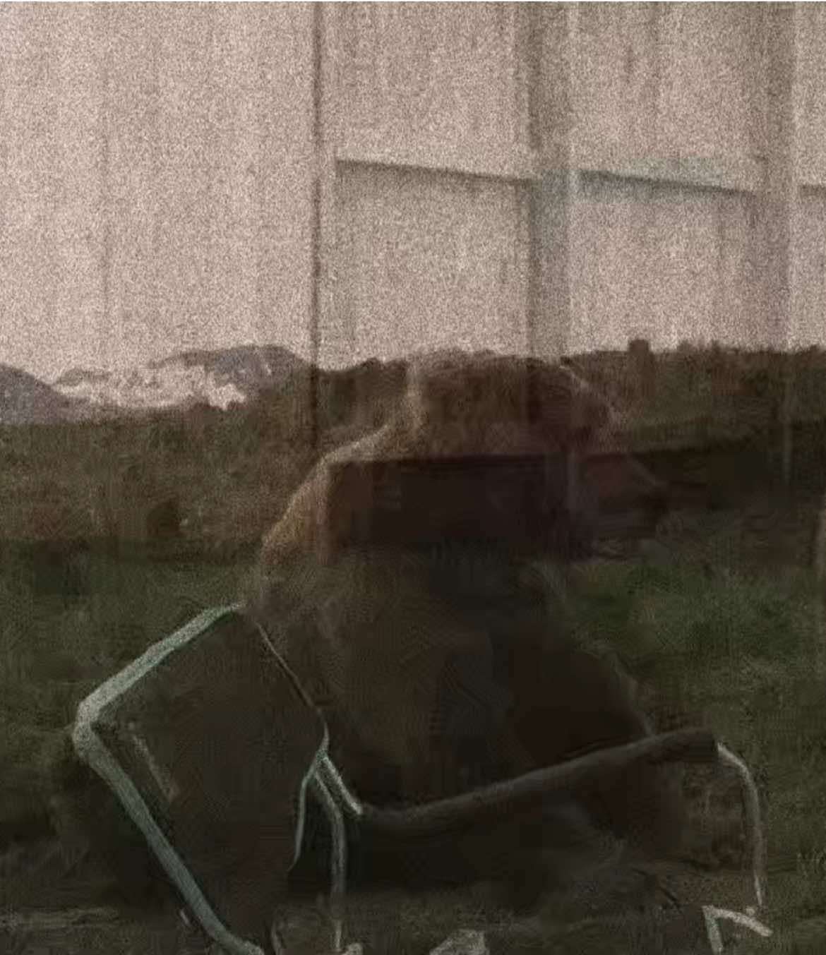 @boofchamp