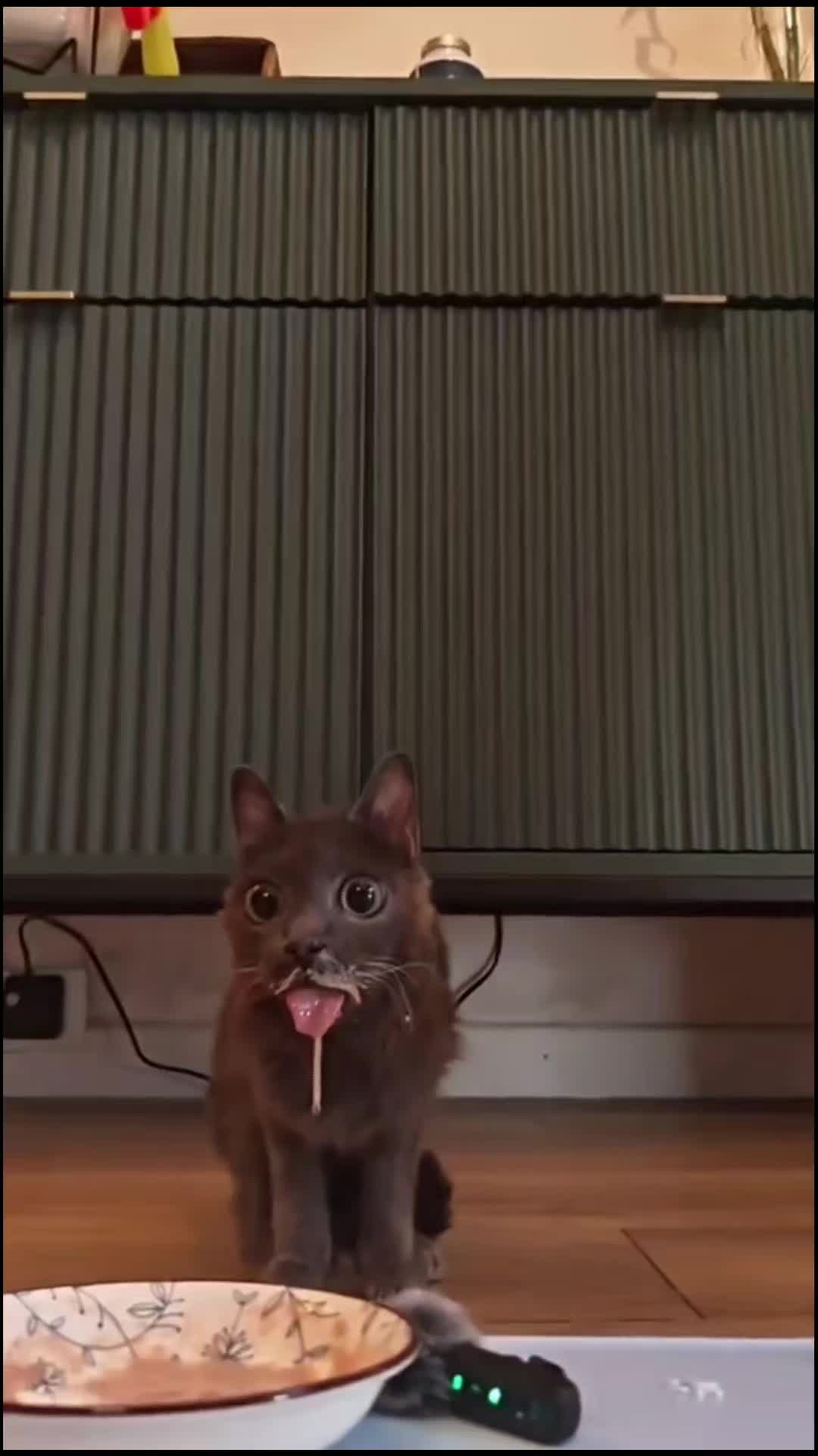 @blu_the_blep