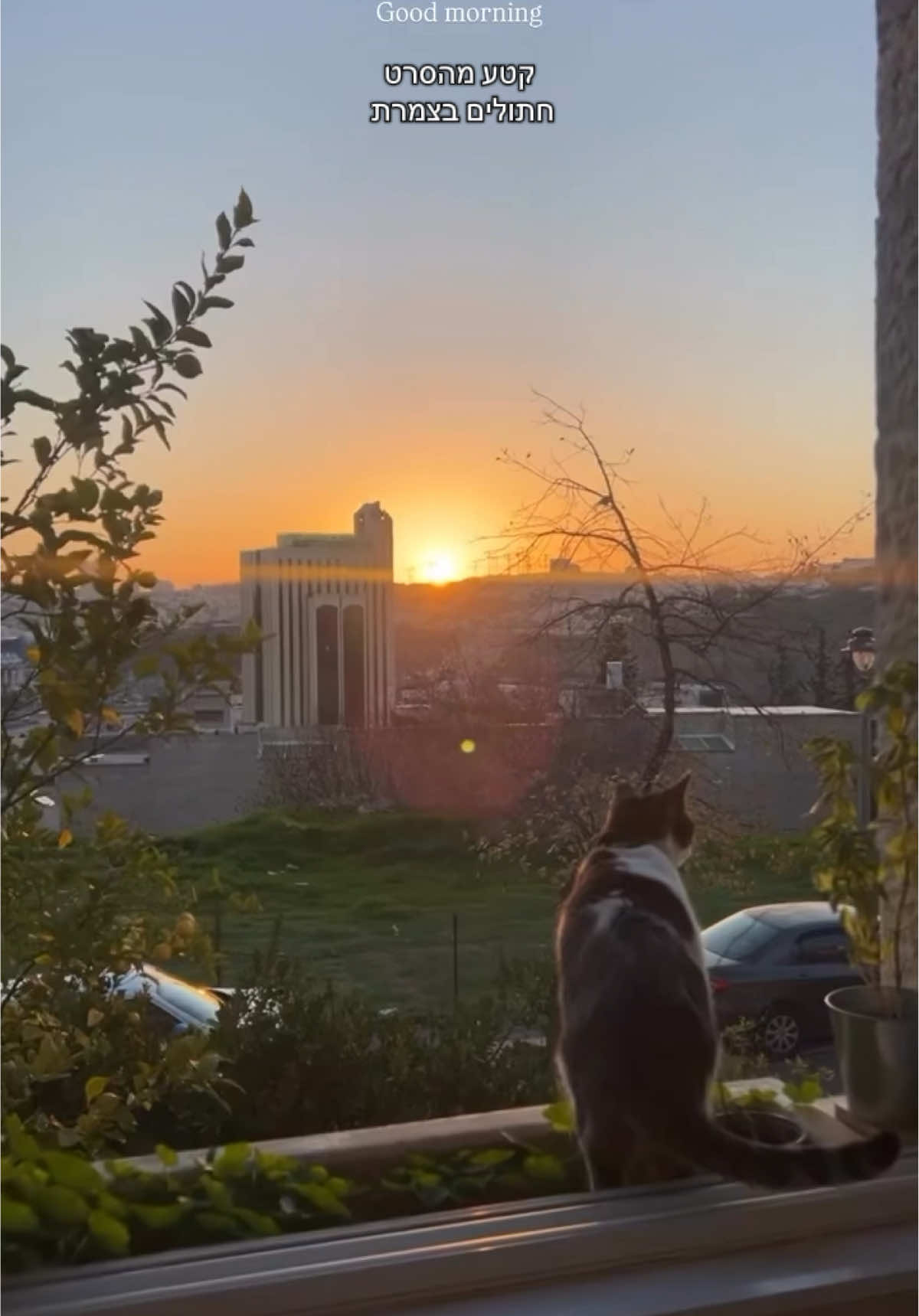 @Gaya shoshan | גאיה שושן