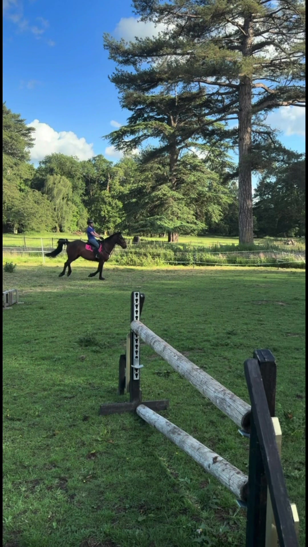 @MG.eq🇬🇧🐴