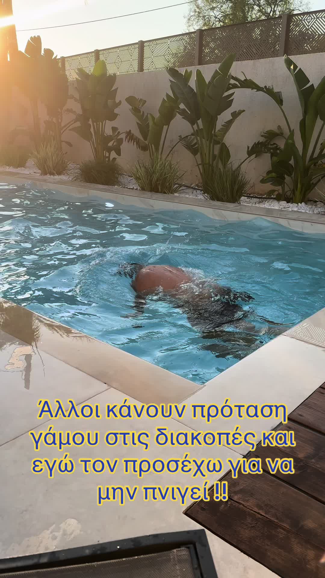 @Kalo_paidi_