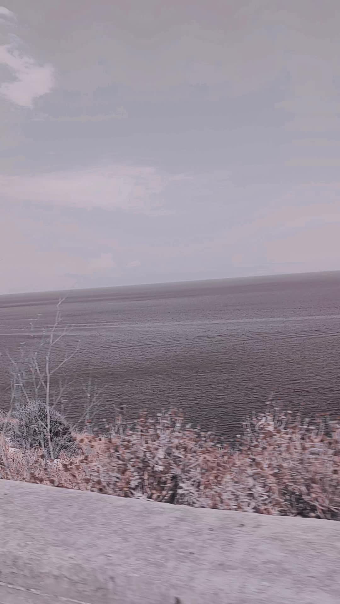 @𝕆𝕟𝕝𝕪𝔽.𝔼𝔻𝔼ℝ𝕀ℂ𝕆