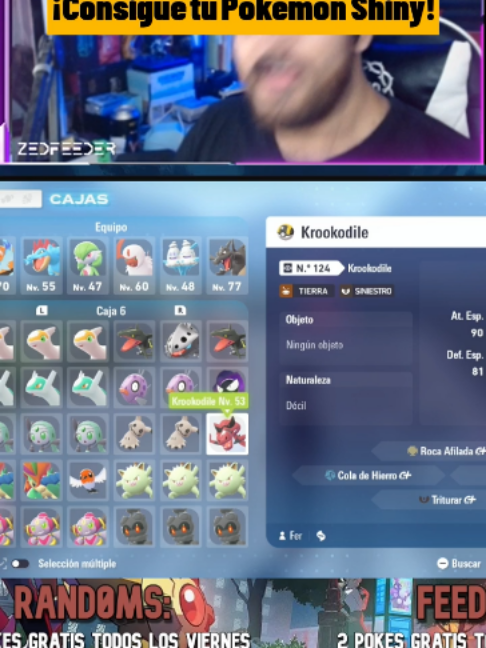 @ZedFeeder