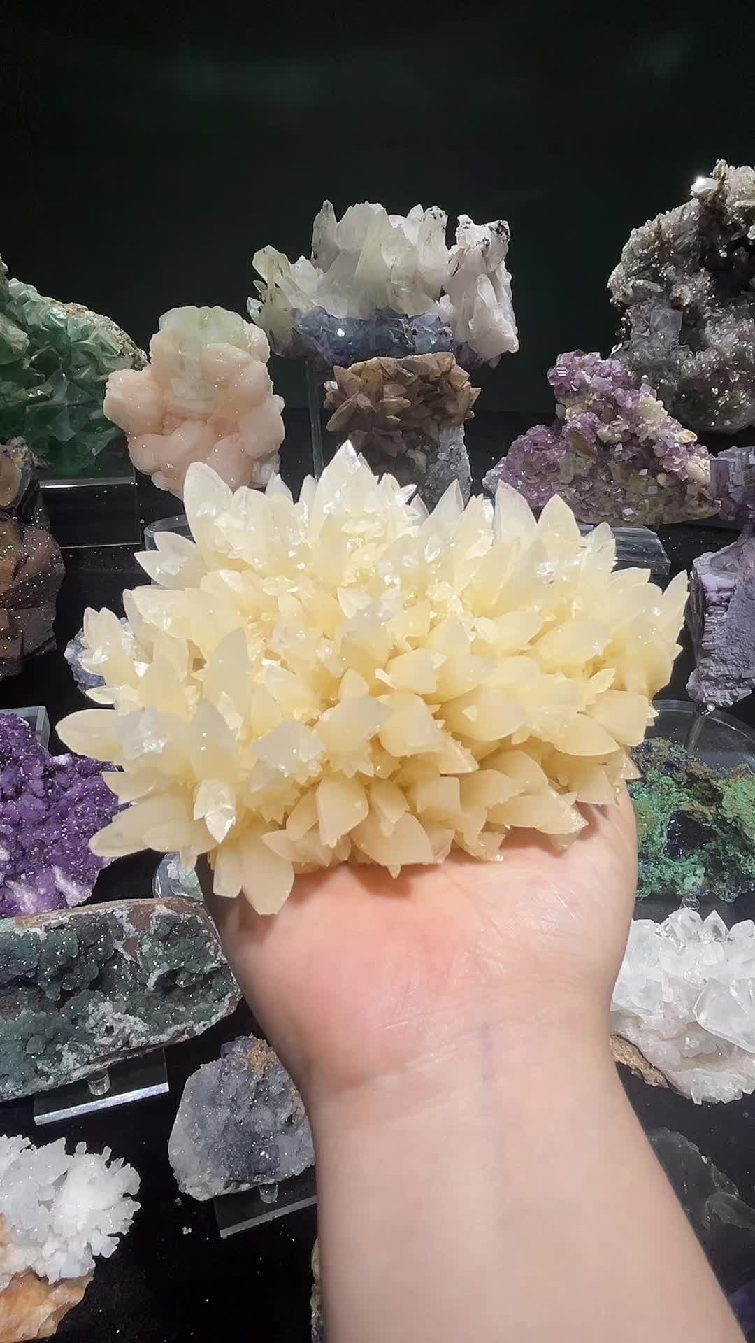 @Meiji crystal shop