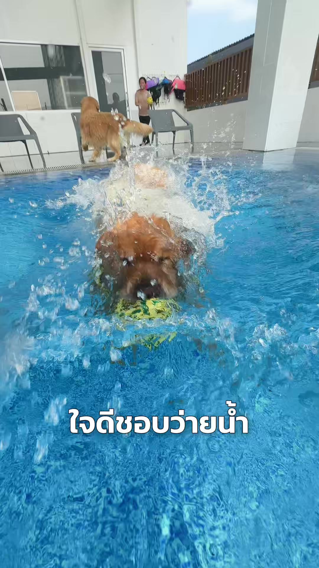@Joommeng Mee Arai