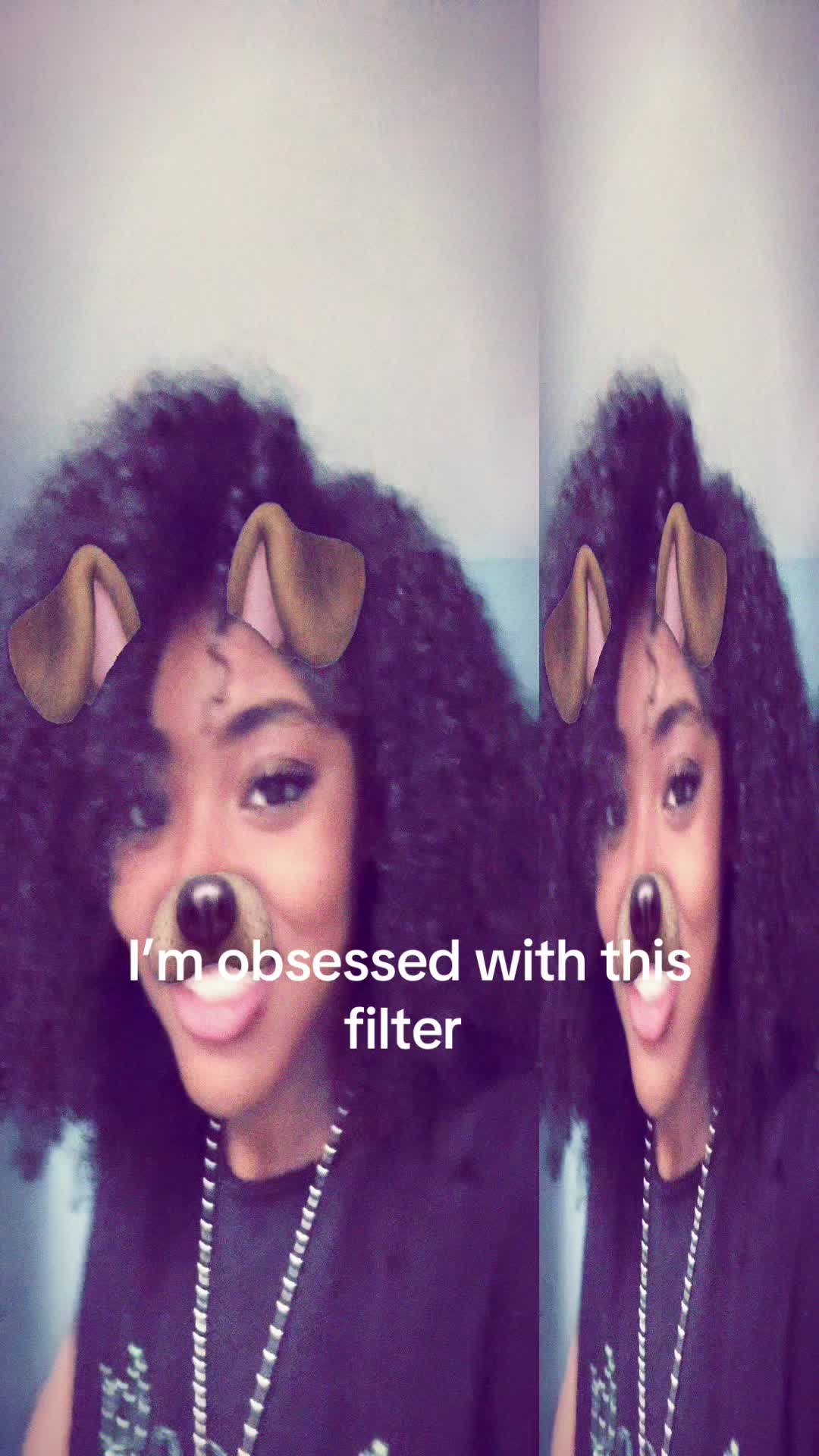 @maesdiariess