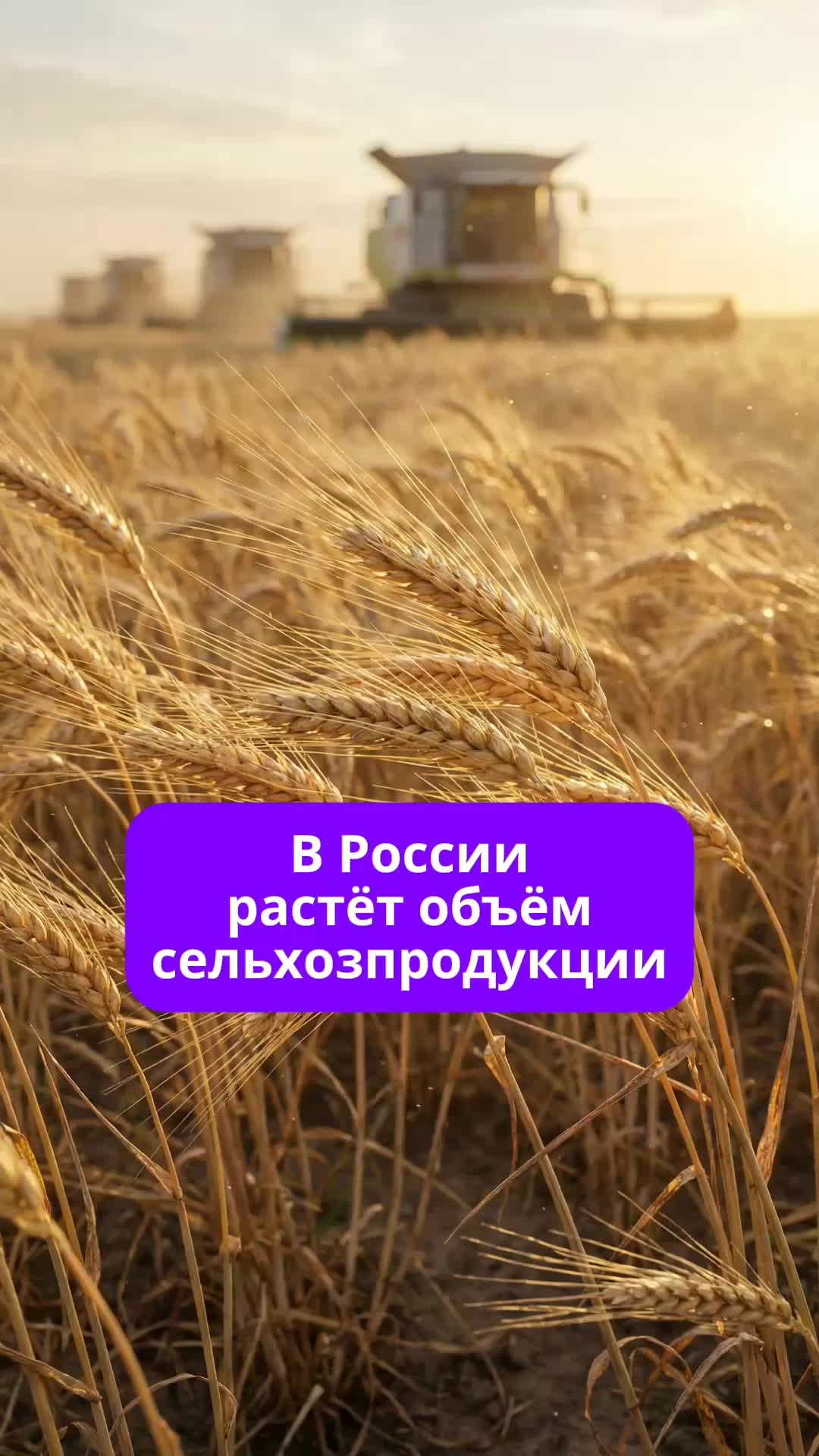 @interesniye_fact