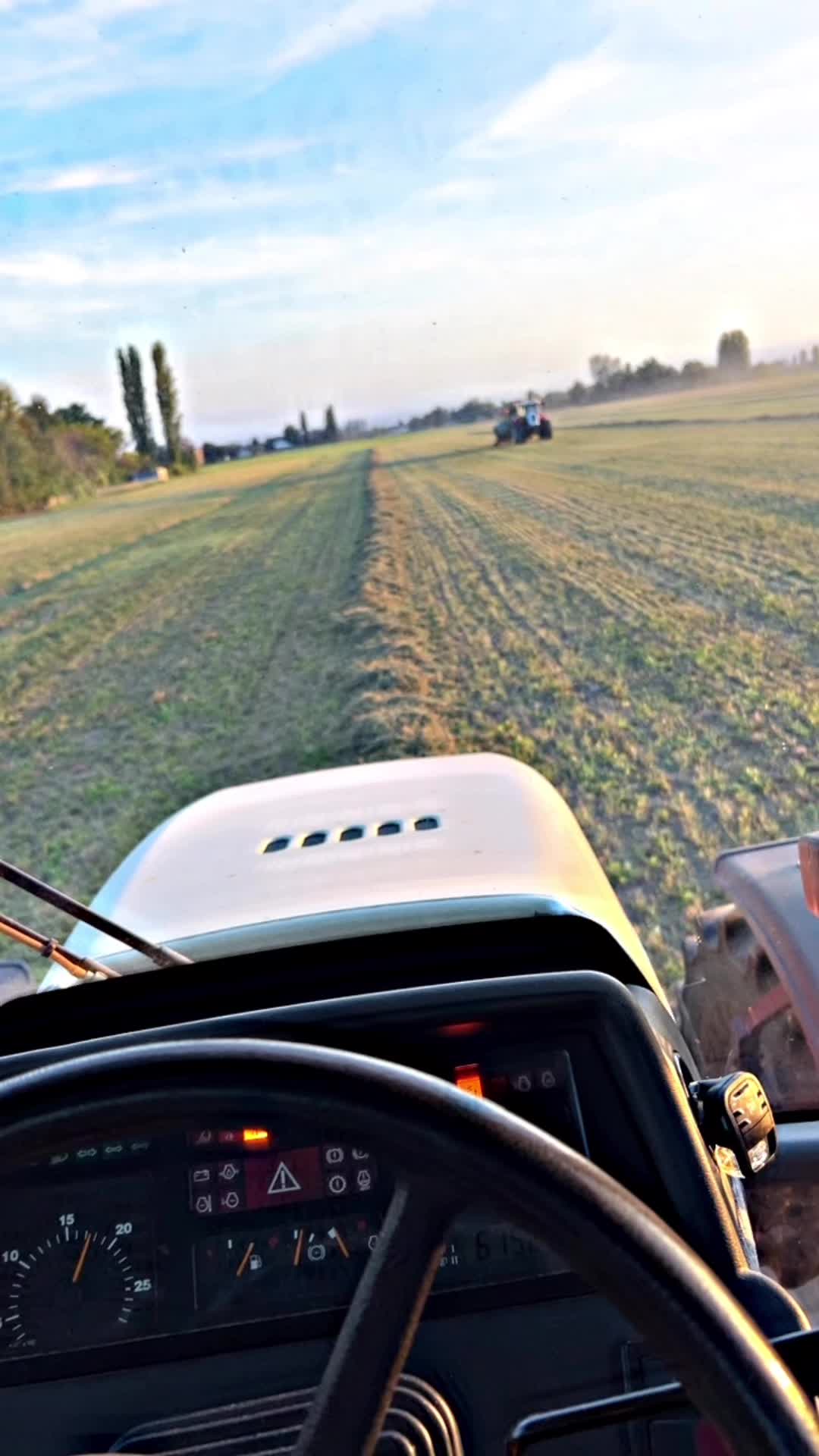 @Mirko Farmer