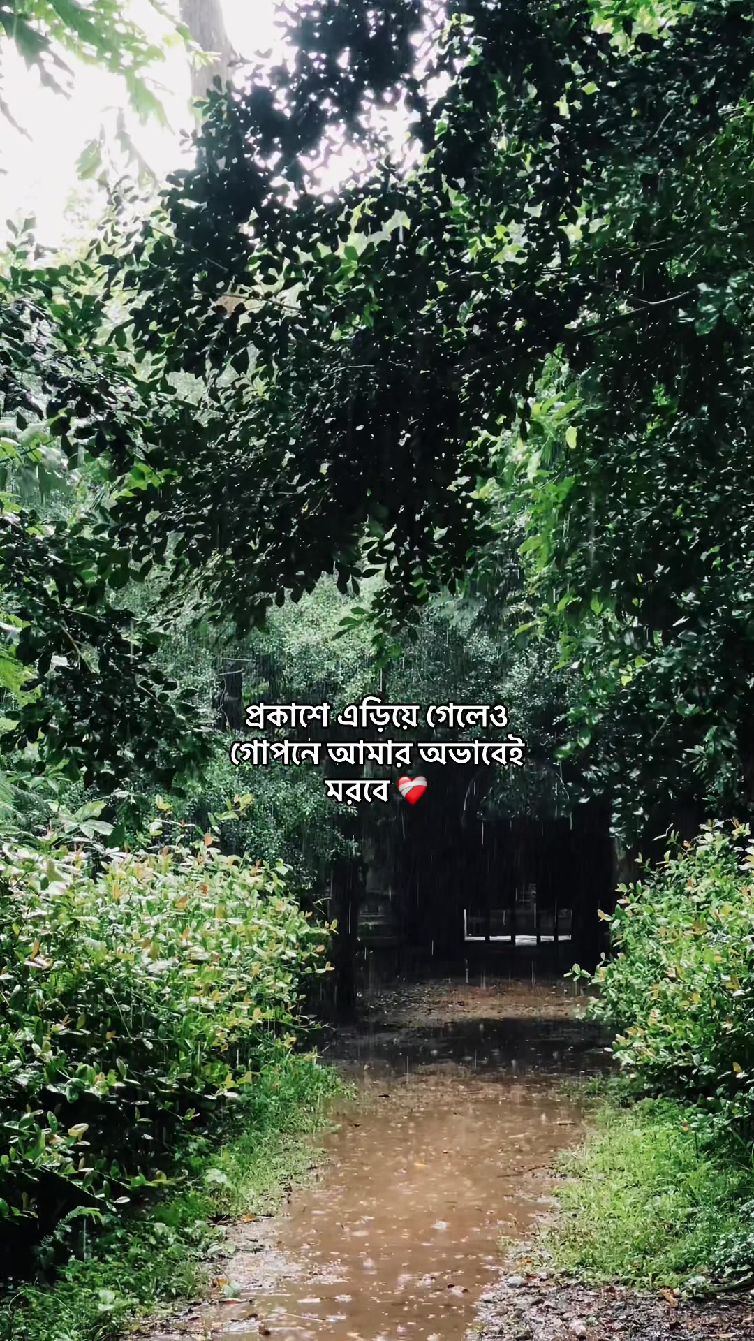 @_নিখোঁজ_