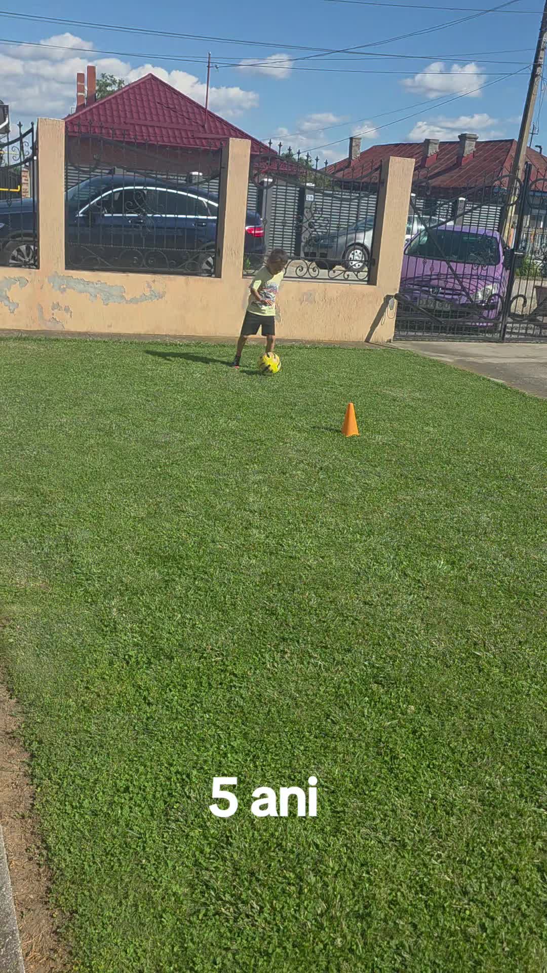 @Zian Leuţul Sudului