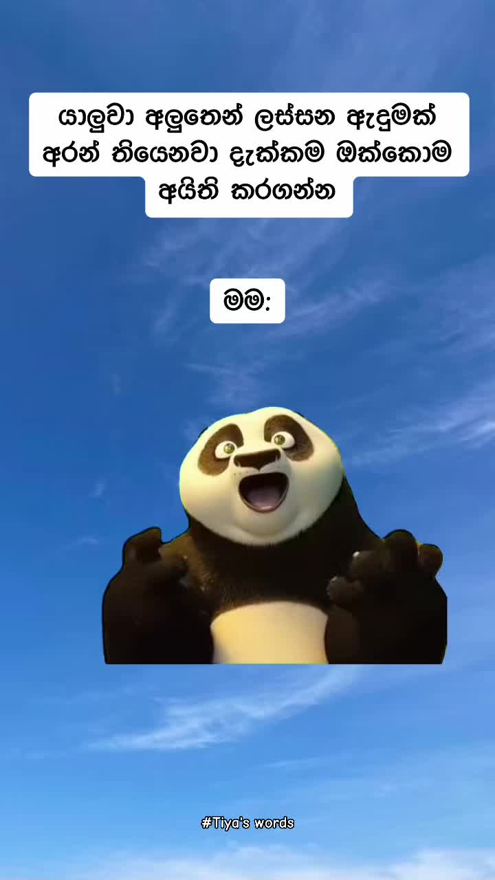 @🎀