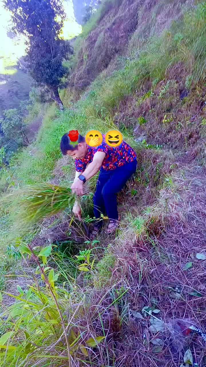 @Ahilya Bohara