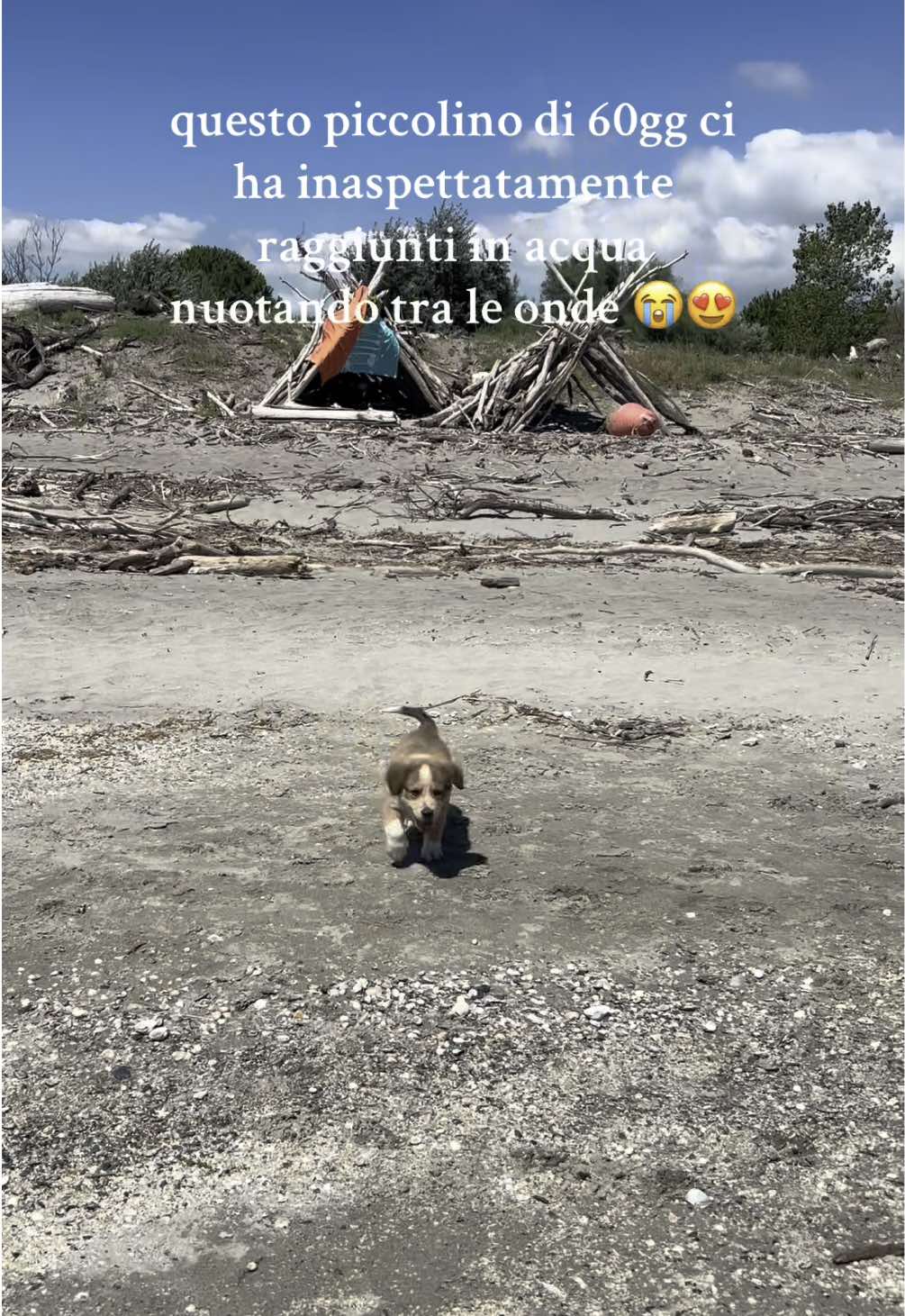 @marti🍭