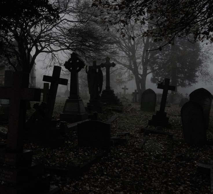@🥀𝓙𝓪𝓭𝓮&rsquo;𝓼 𝓛𝓲𝓫𝓻𝓪𝓻𝔂🥀