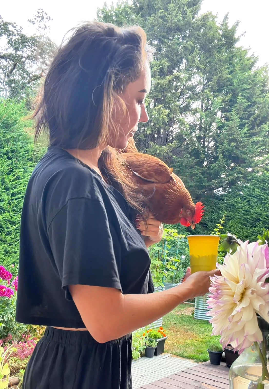 @Ava Dahlia 🇨🇦👩&zwj;🌾✌️