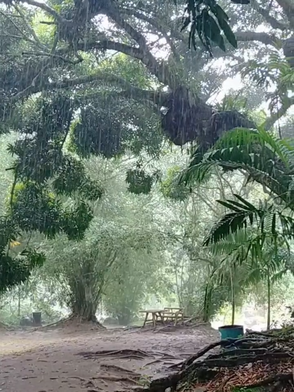 @Jamaica Untouched