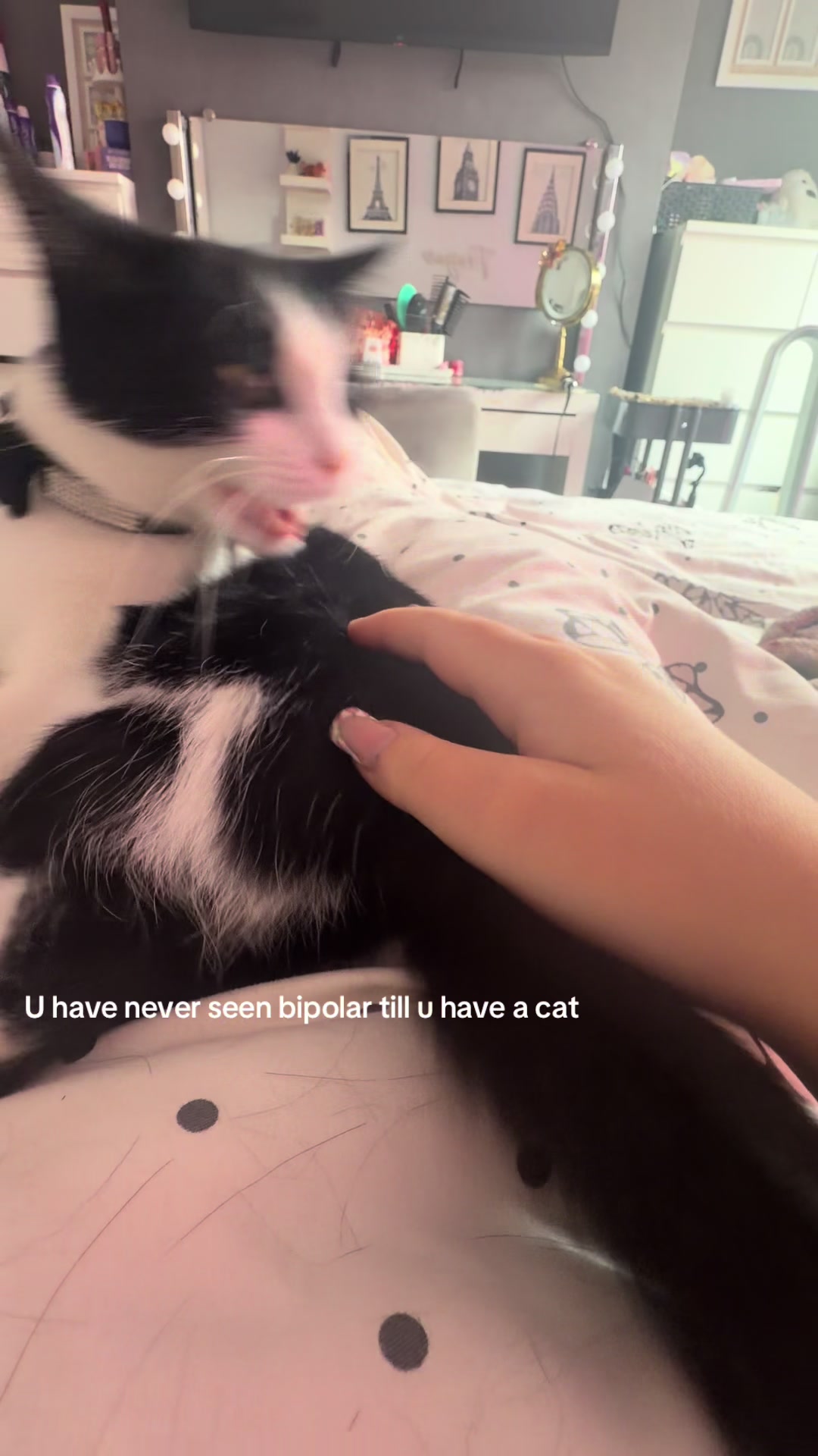 @Freya