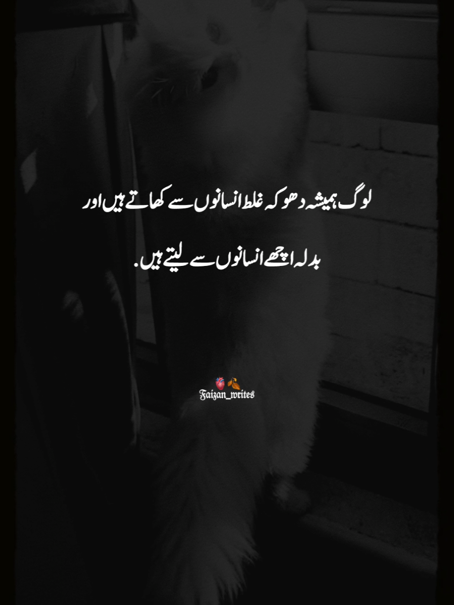 @Khan🍀Writes