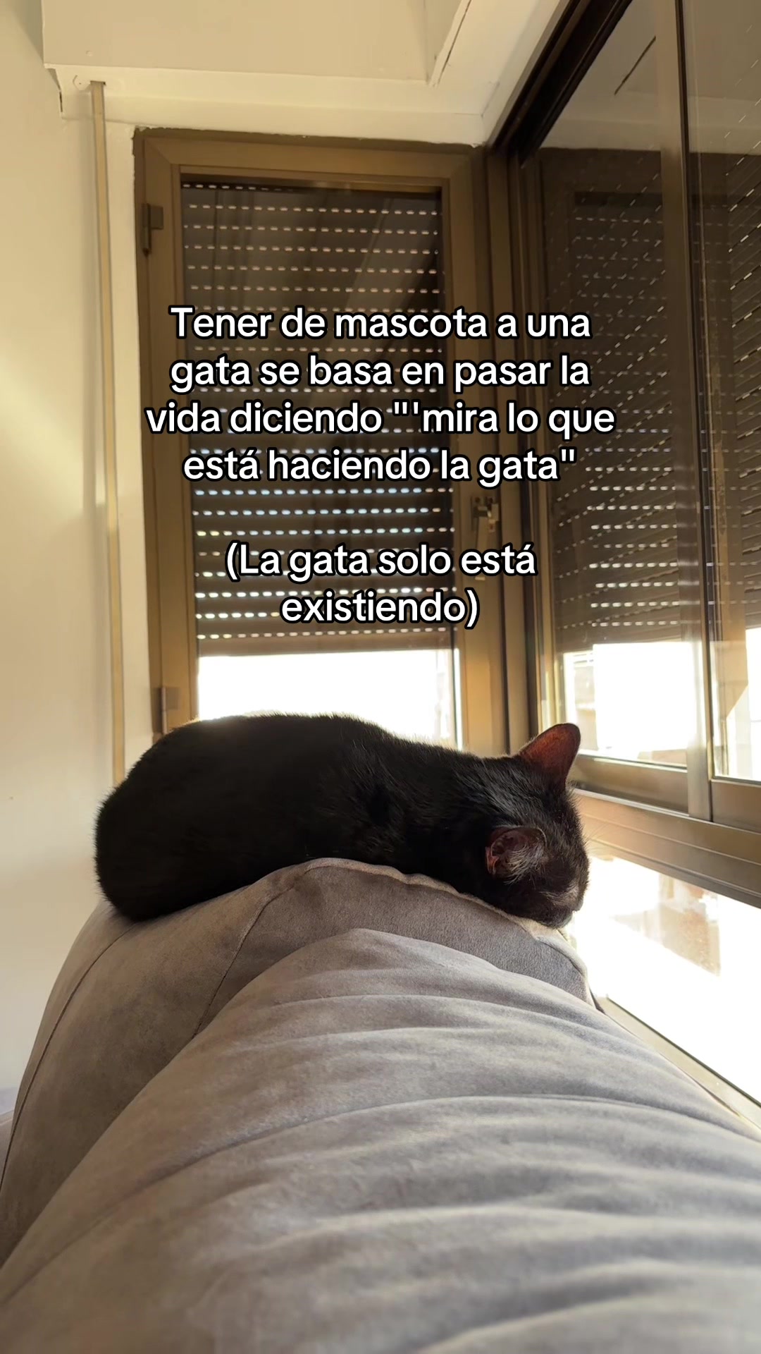 @BlackCatsMatter
