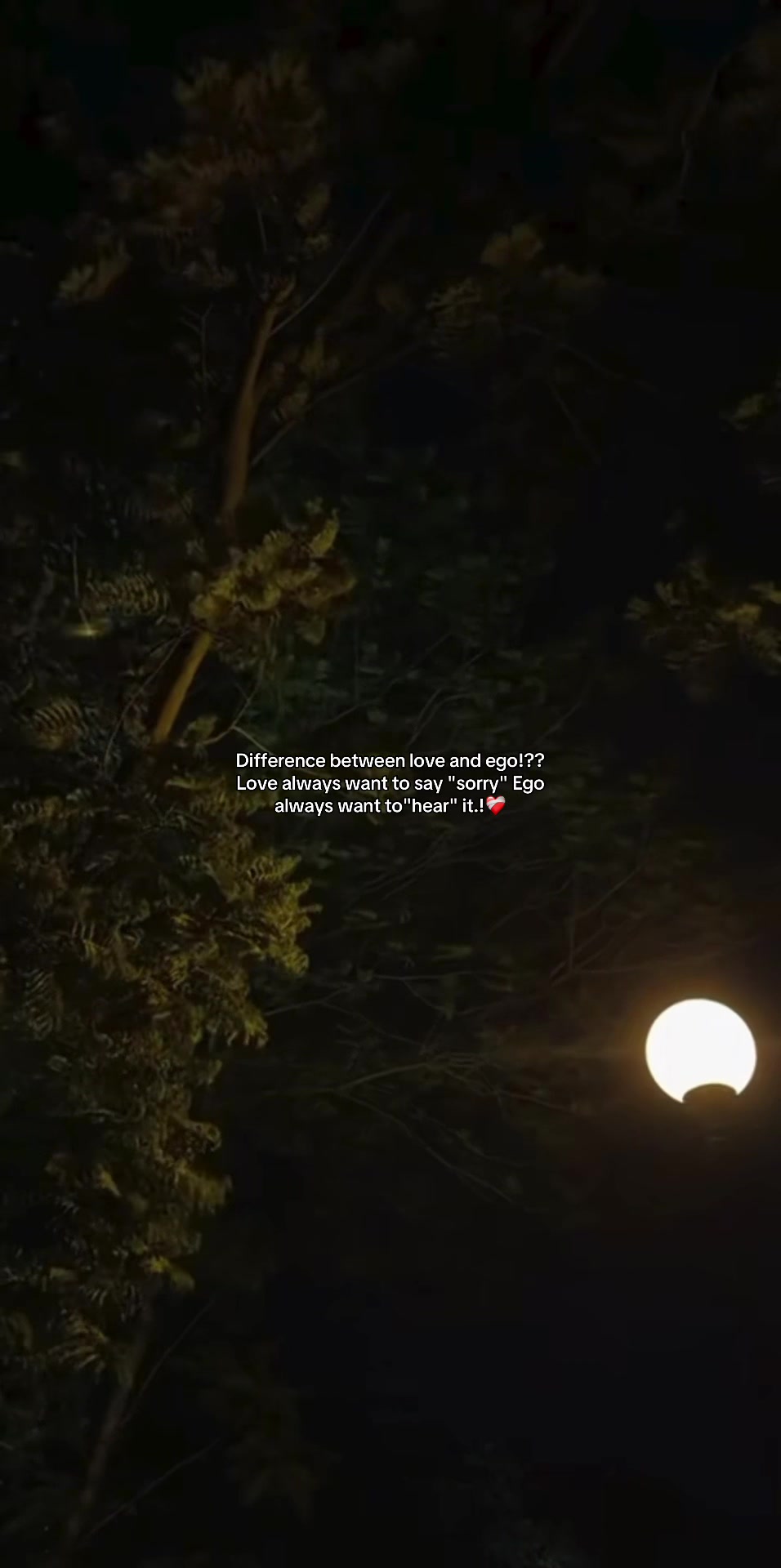 @🍂