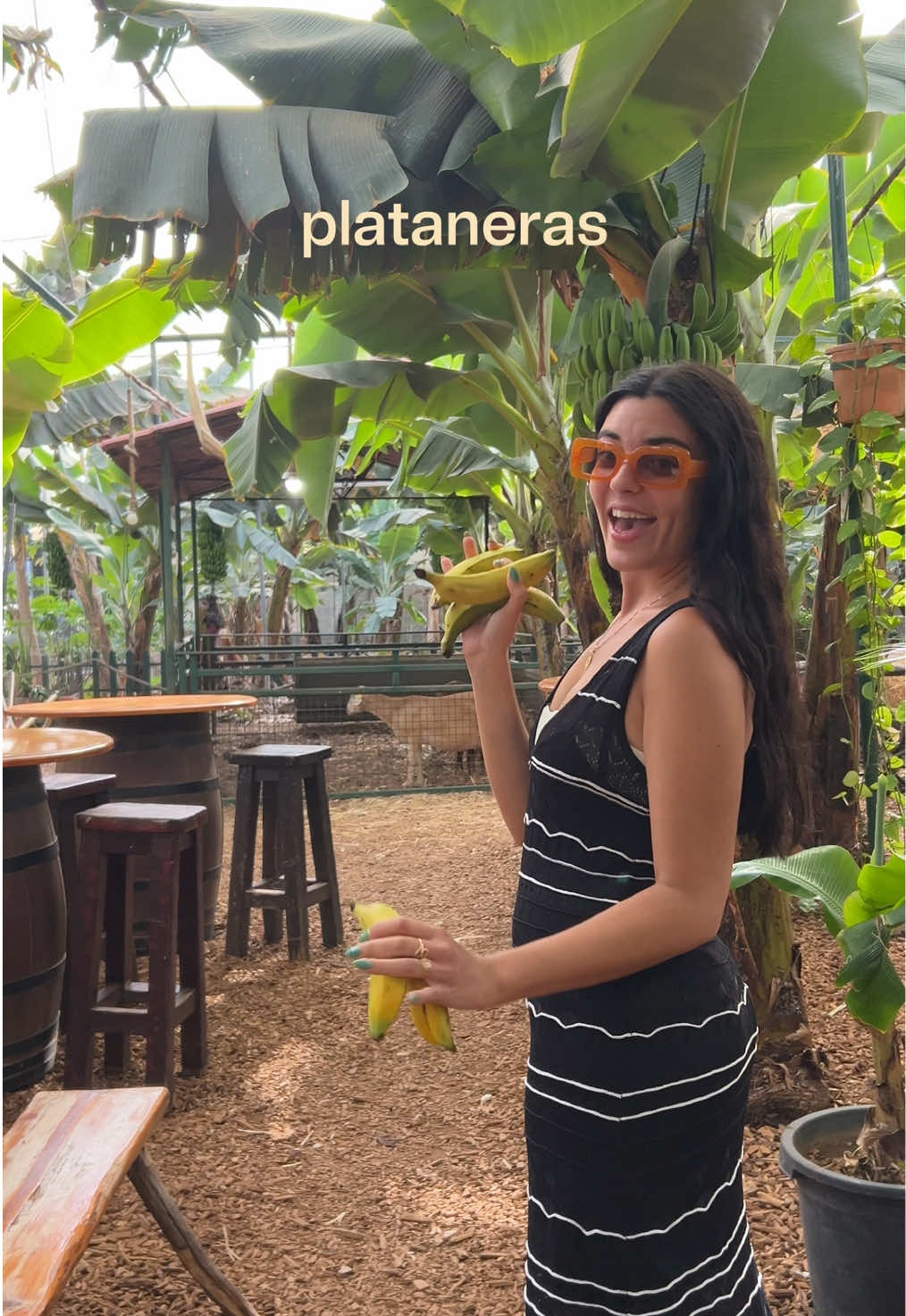 @Natalia Gones