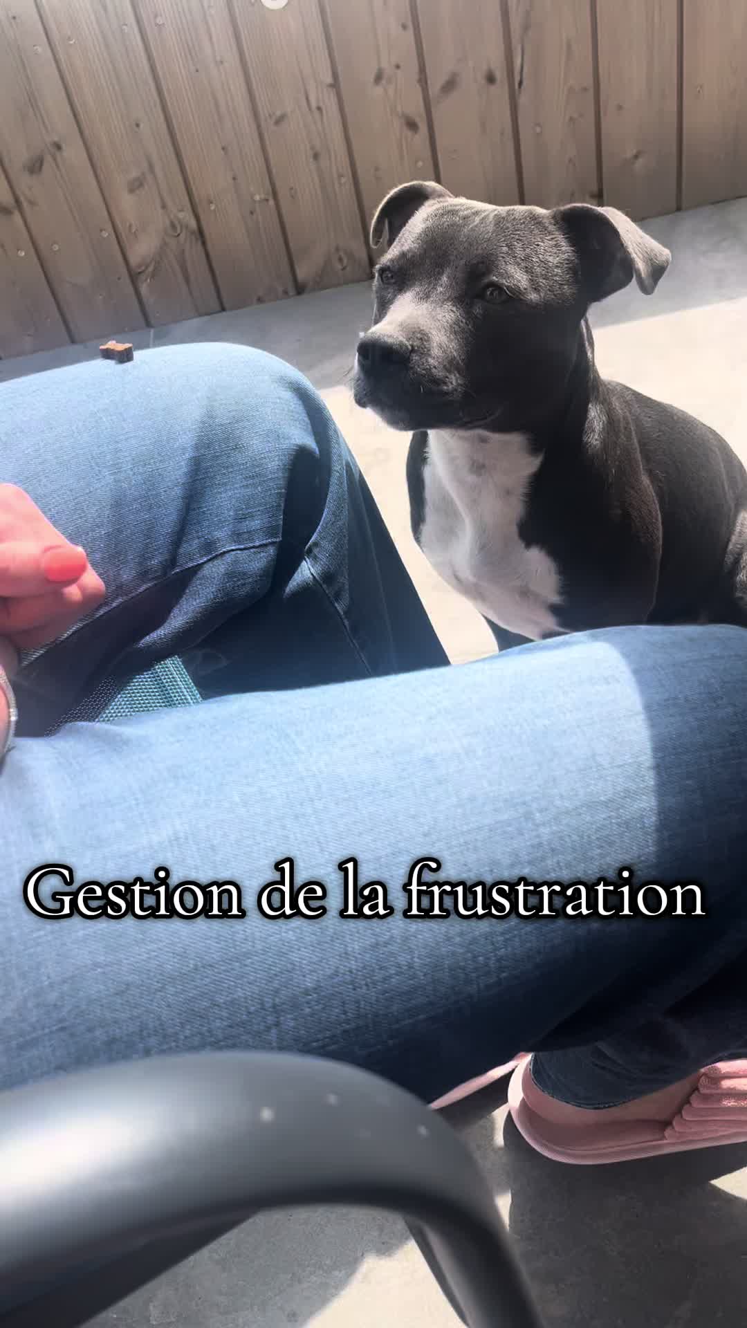 @staffy Alya