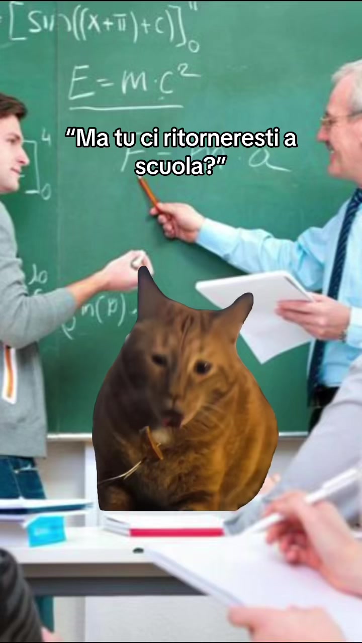 @Giulia Gozzi