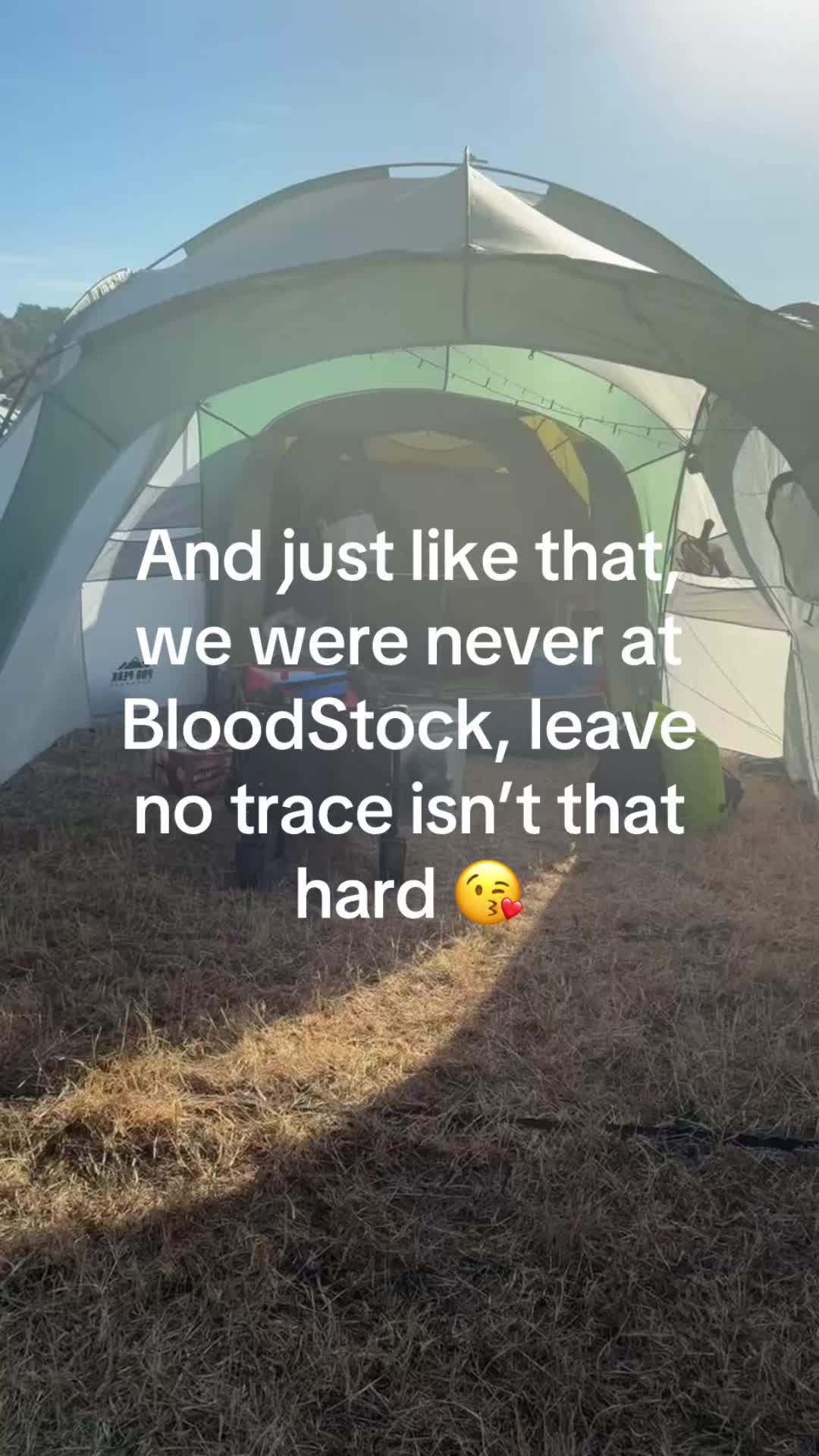 @DownloadMammy