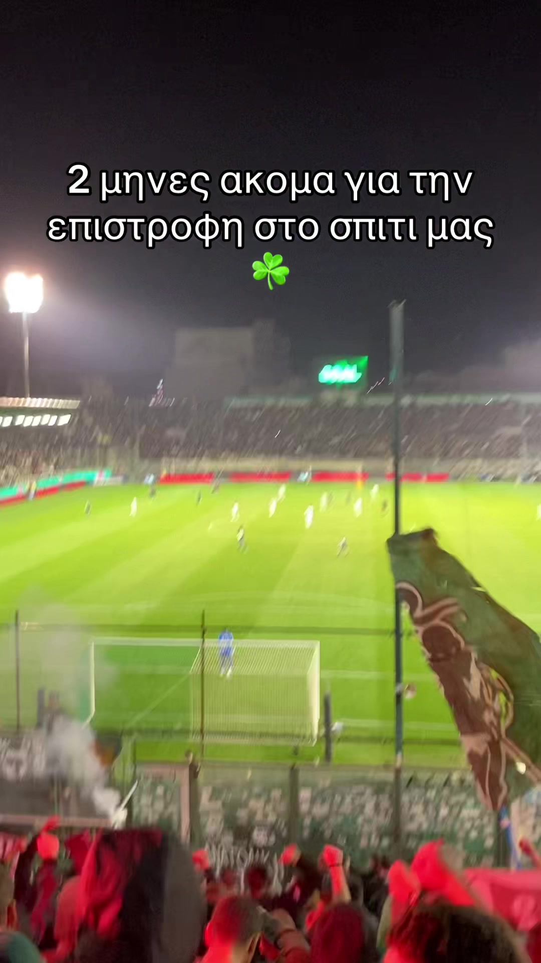@Green blood☘️