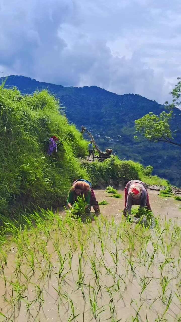 @Kalpana Sapkota