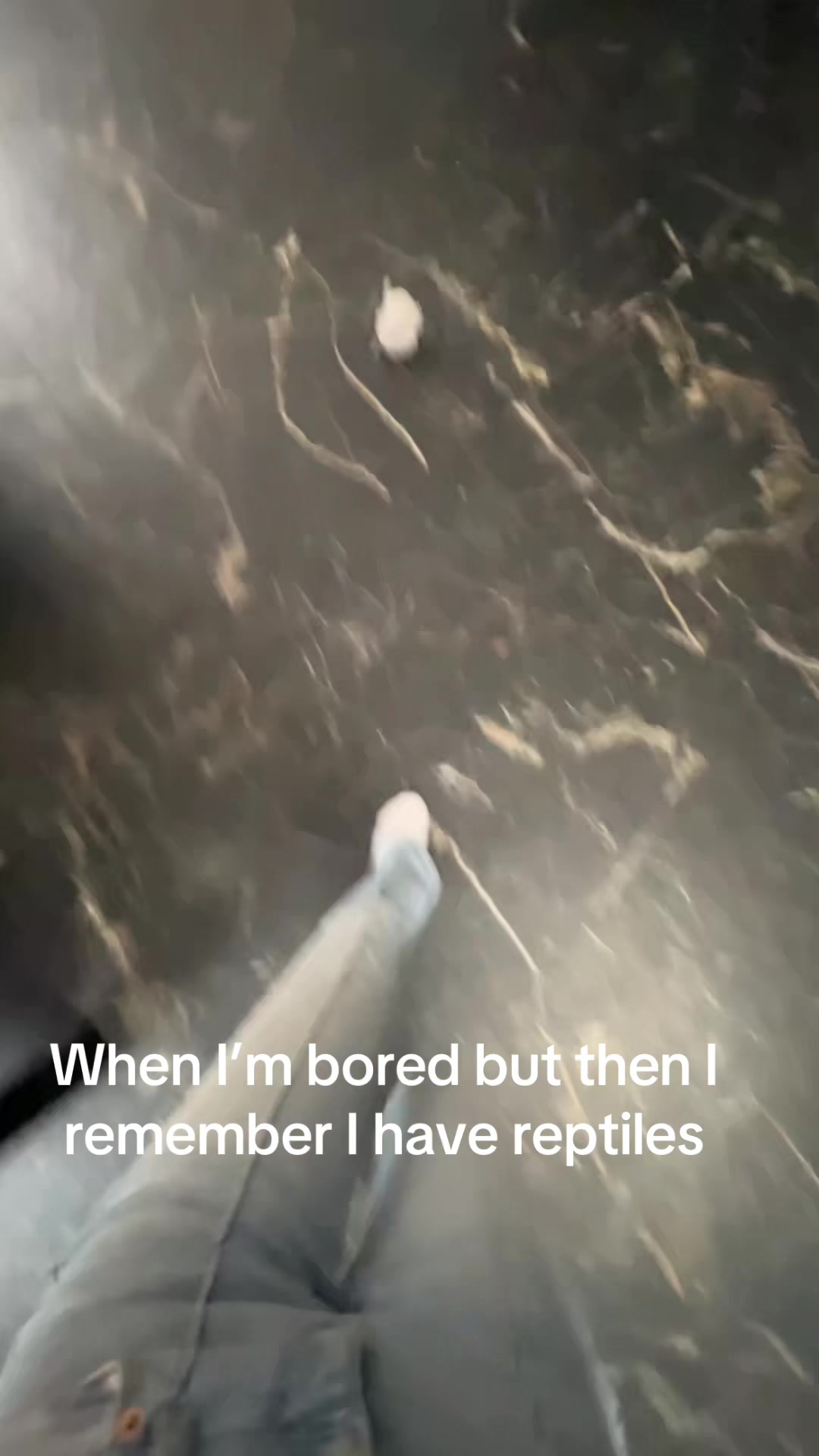 @𝕂𝕠𝕣𝕡𝕚^^