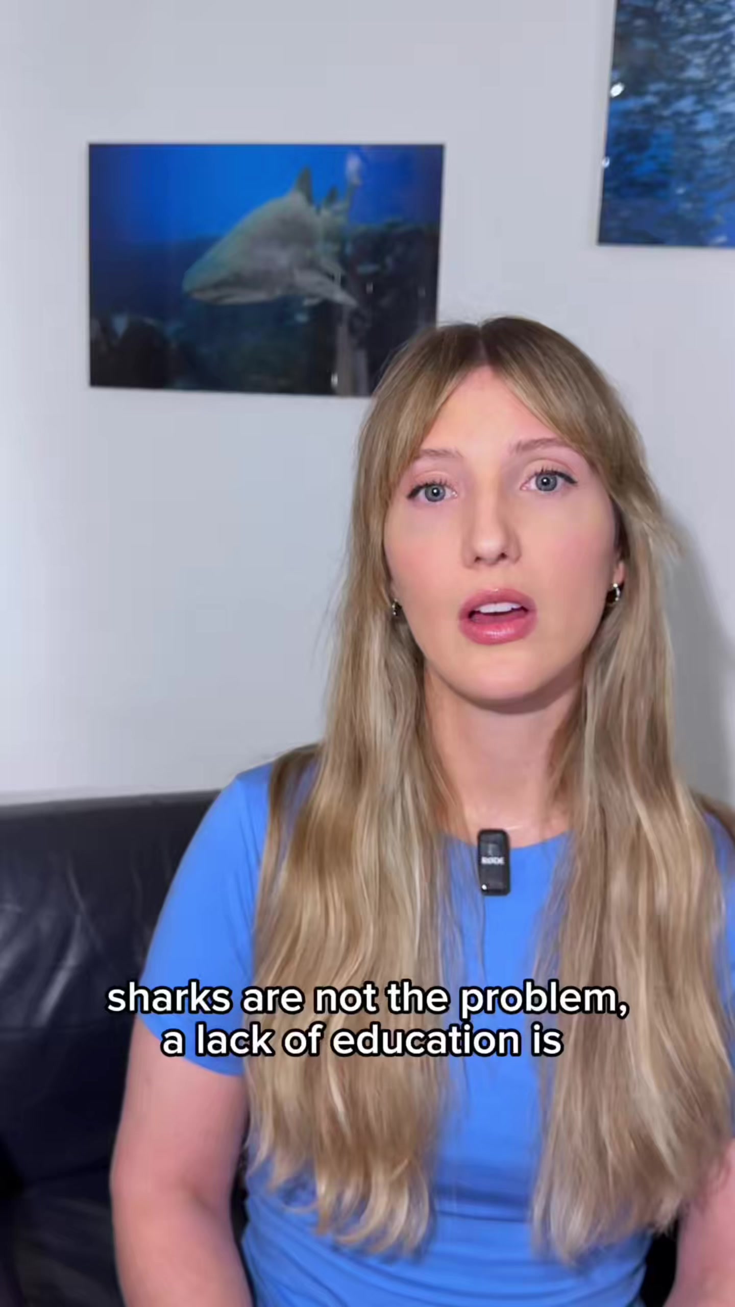 @Gillian Shark