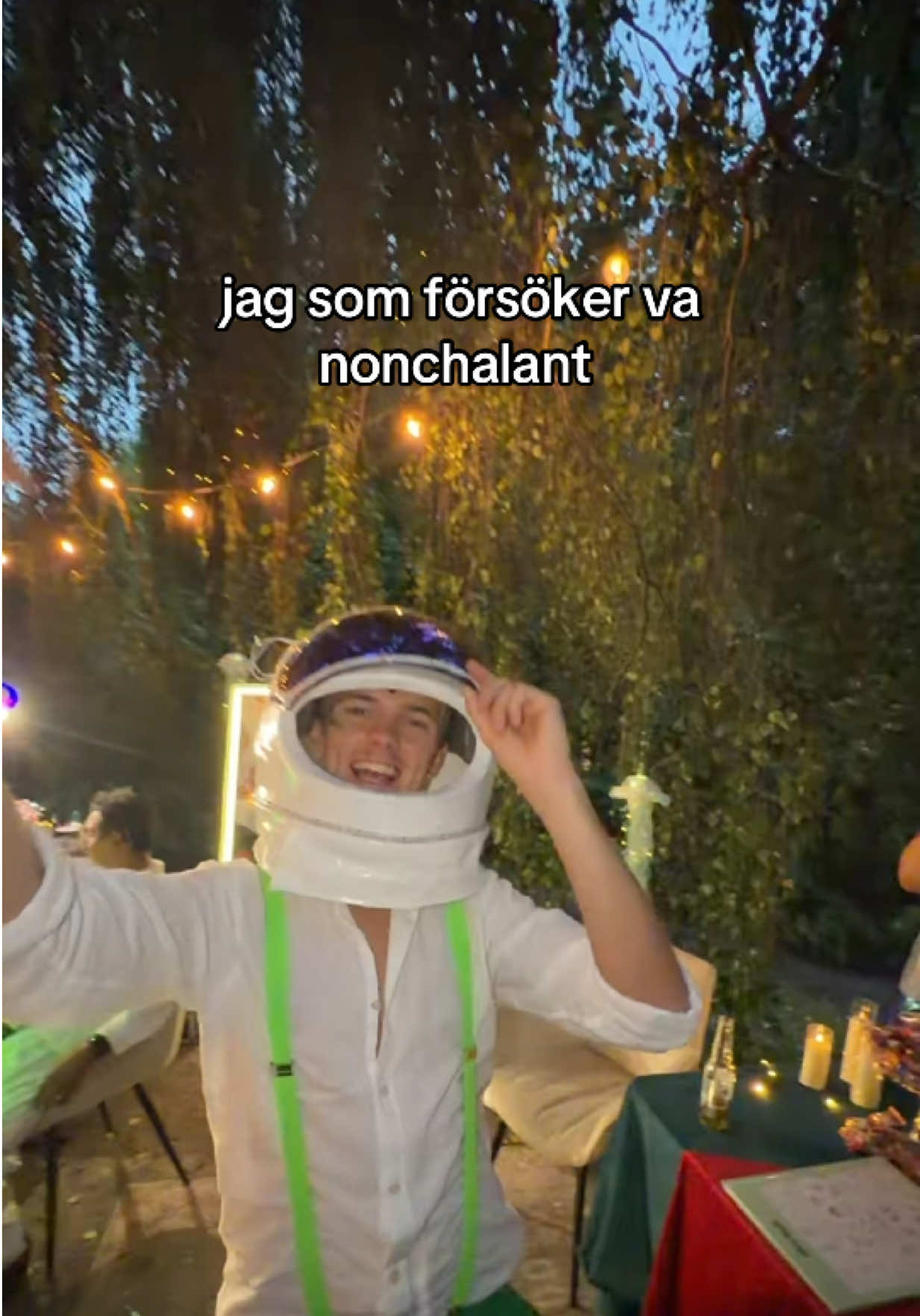 @Theo Haraldsson