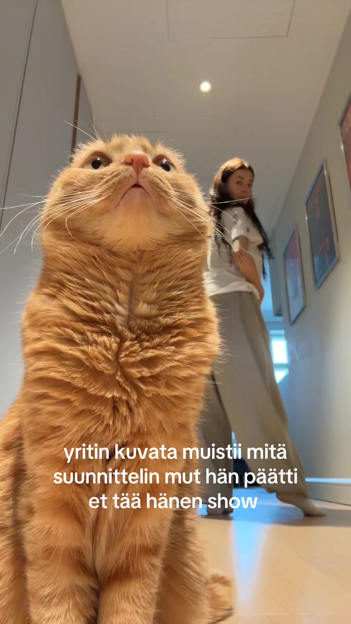 @Lotta