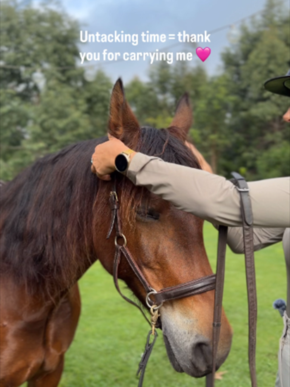 @Myhorsewillow