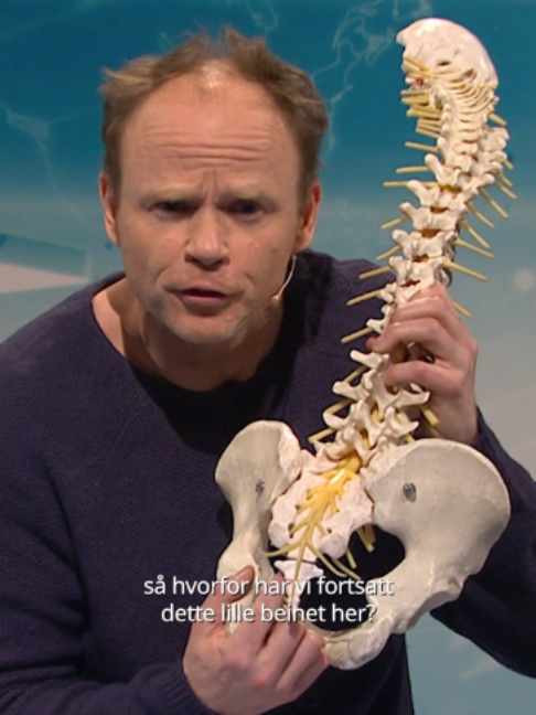 @TVNorge