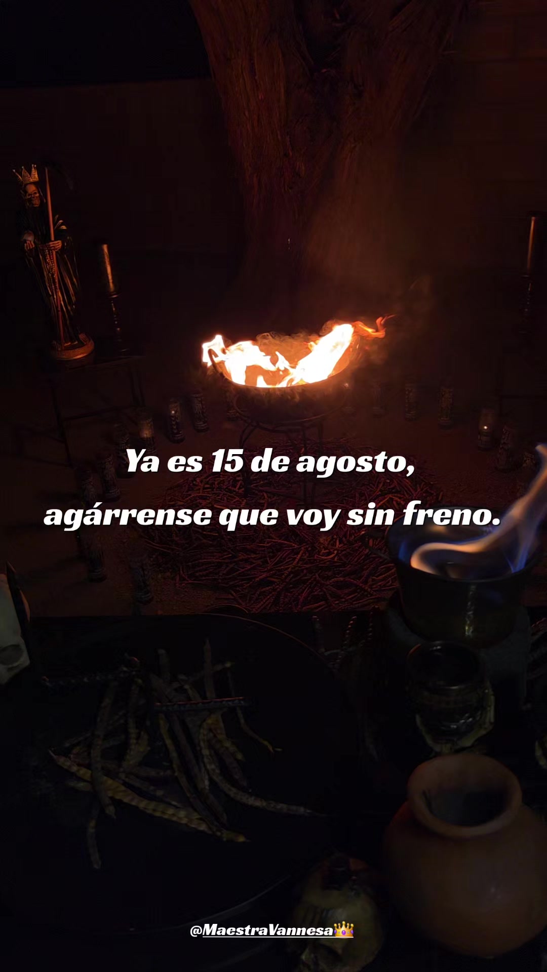 @Maestra Vannesa 👑