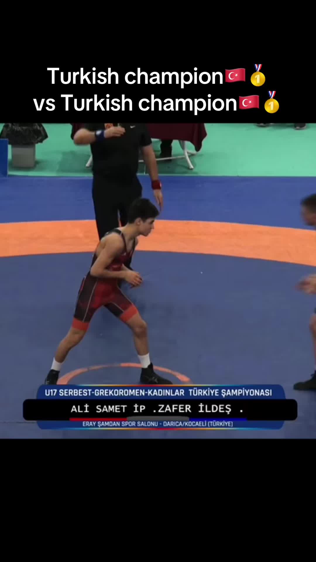 @wrest_fights