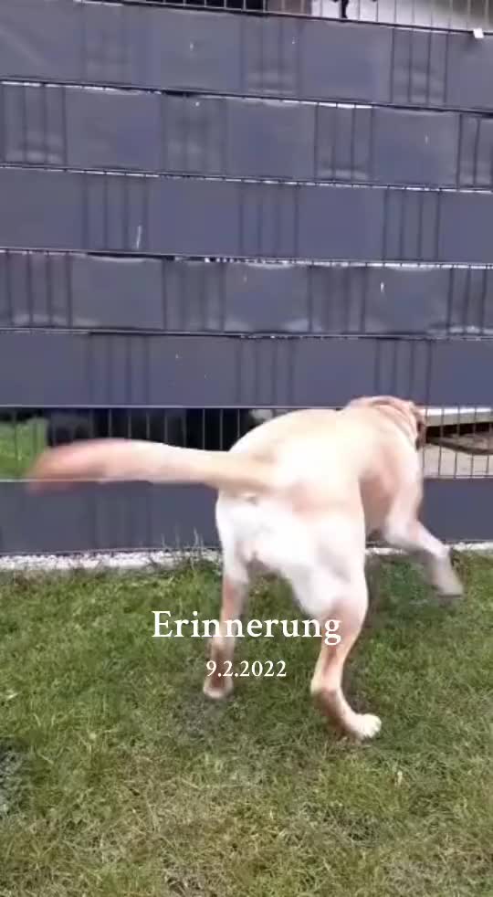 @Schwester_Simone