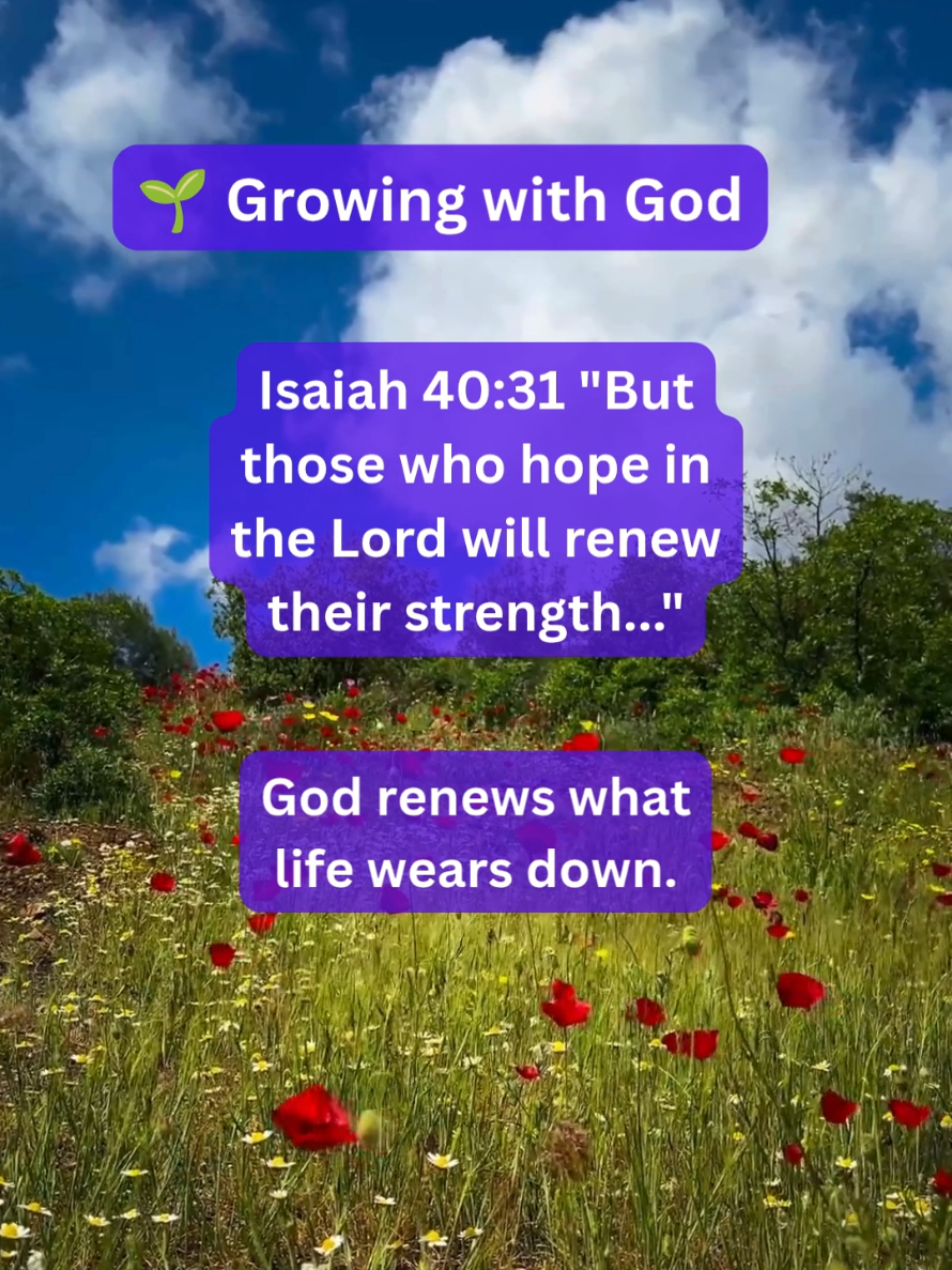 @DailyFaithBoost