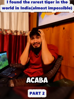 @Araya Vlogs